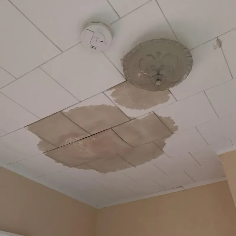 Ceiling Water Damage Repair in Fair Haven, VT