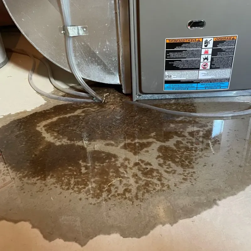 Pipe Burst and Leak Restoration in Fair Haven, VT